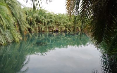 image (1)